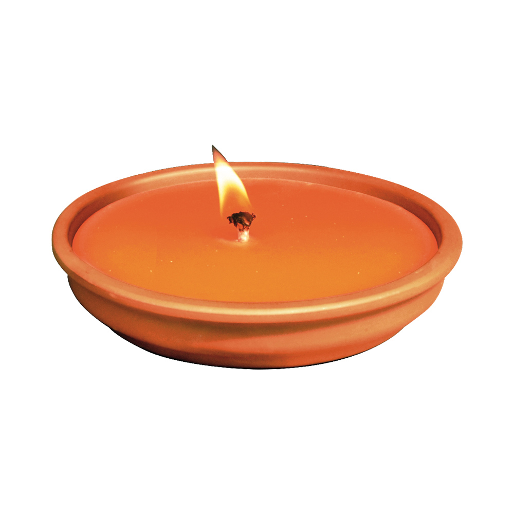 Zanza tiger citronella in cotto 14 cm - 2 pezzi.