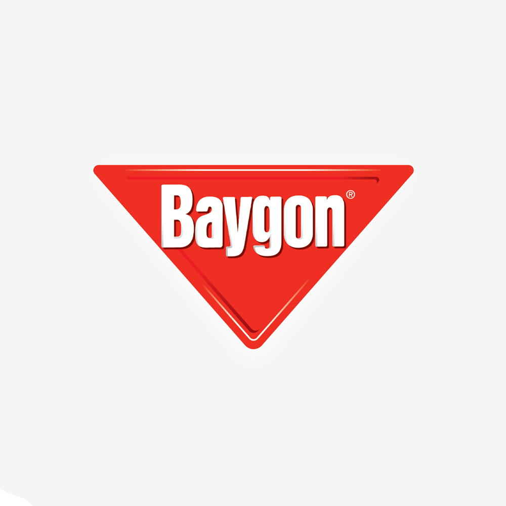 Schiuma Elimina Scarafaggi e Formiche BAYGON Extra Precision 400 ml