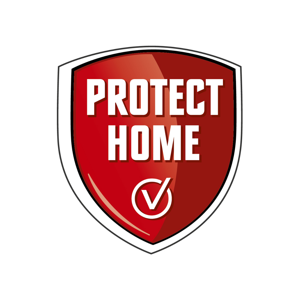 Fastion Spray Scarafaggi e Formiche 400 ml PROTECT HOME - Deltametrina